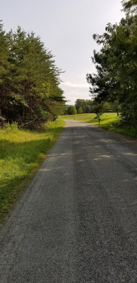 LOT 9 Lake Park Dr, Union Hall, VA 24176