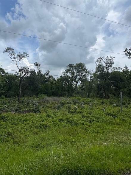 0 M Unit 72790076, West Columbia, TX 77486