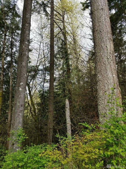 0 147th St Kpn Unit 1104754, Gig Harbor, WA 98329