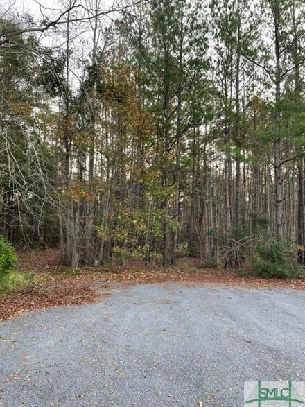 365/371 Hawk Hammock Dr, Springfield, GA 31329