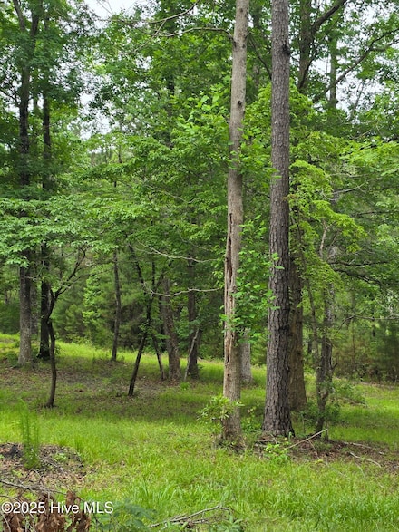 206 Yellow Fin, Sneads Ferry, NC 28460