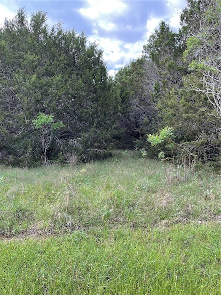 43208 Fringewood Dr, Whitney, TX 76692