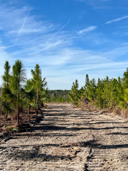 1004 Field Trial Rd, Camden, SC 29020