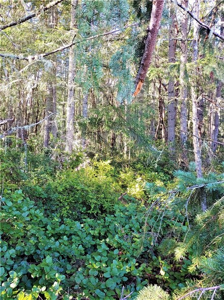 9028 Johnson Rd, Anderson Island, WA 98303