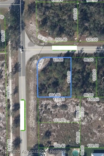 101 Lincoln Rd NE, Lake Placid, FL 33852