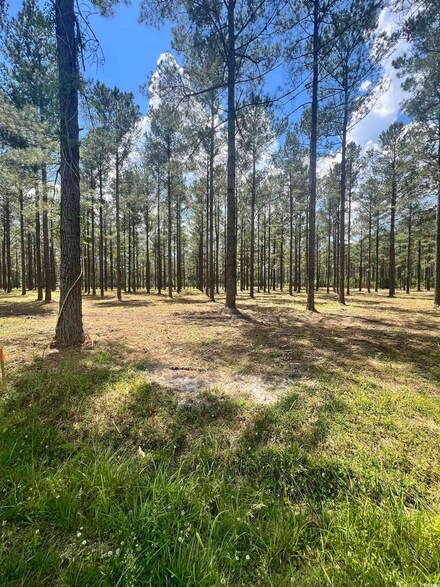 Lot 3 Ashley Cir, Conway, SC 29526