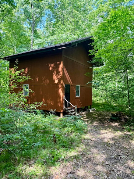 23266 Hayes Rd, Big Rapids, MI 49307