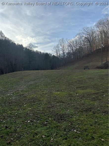 3588 Copperas Fork Rd, Holden, WV 25625