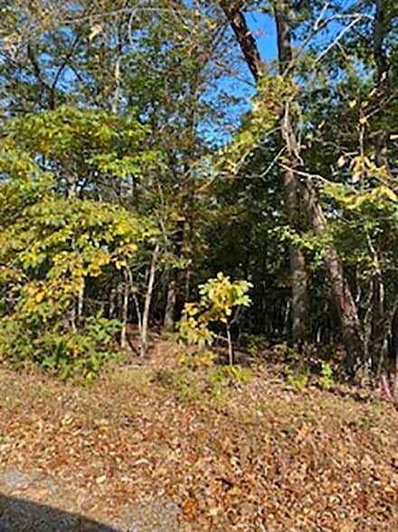 0 Tonto Dr Unit 25004908, Cherokee Village, AR 72529