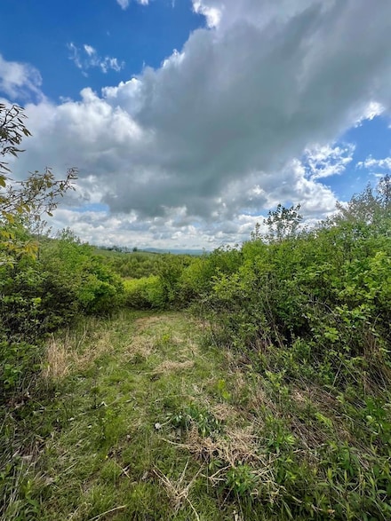 0 Basham Branch Rd, Jumping Branch, WV 25825