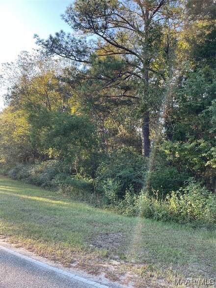 2.86 Acres Marvin Parker Rd, Ozark, AL 36360