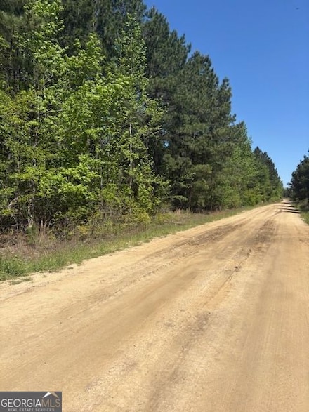 0 Mt Pleasant Church Rd Unit PARCEL C 10517008, Pineview, GA 31701