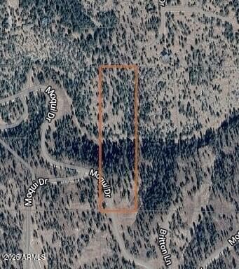 1129 Moqui Dr Unit 9, Happy Jack, AZ 86024