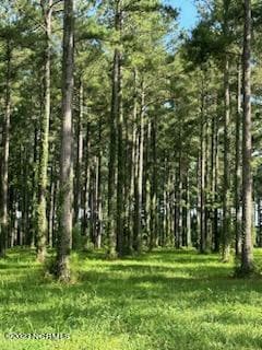 147 Dawson Creek Blvd, Oriental, NC 28571