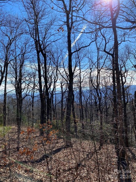 00 Morning Ride Dr Unit 36, Columbus, NC 28722