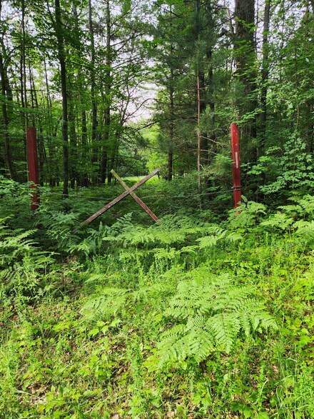 0 E Pere Chaney Rd, Beaver Creek Township, MI 49738