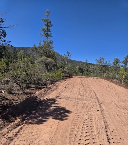 Parcel 3 Arizona 87, Pine, AZ 85544