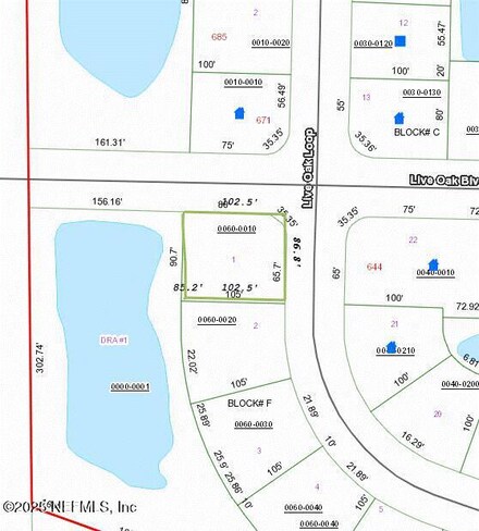 0 Live Oak Loop, Crescent City, FL 32112