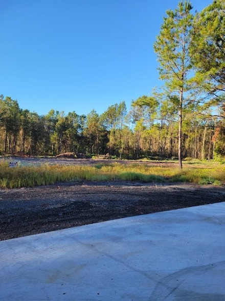0000 Lejune Rd, Waycross, GA 31501