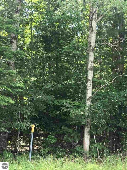 00 W Trask Lake Rd, Barton City, MI 48705