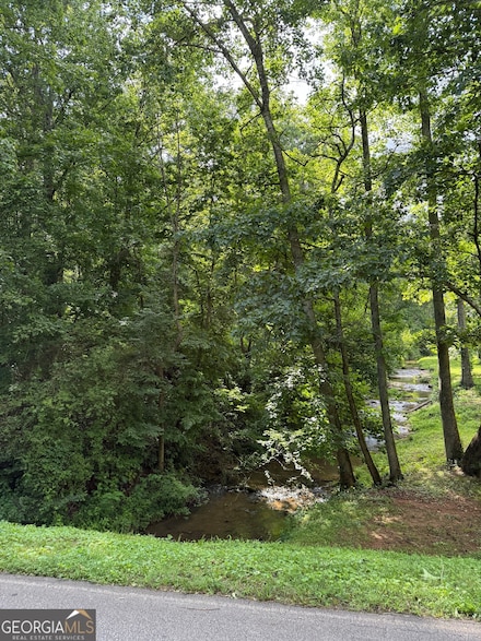 6552 Shoal Creek Rd, Clermont, GA 30527