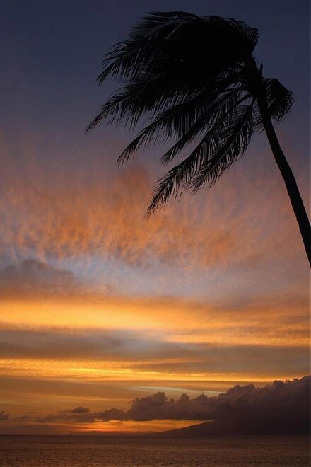 3543 Lower Honoapiilani Rd Unit A-401 U, Lahaina, HI 96761