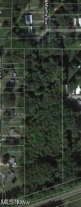 0 Martha Ave, Geneva Township, OH 44041