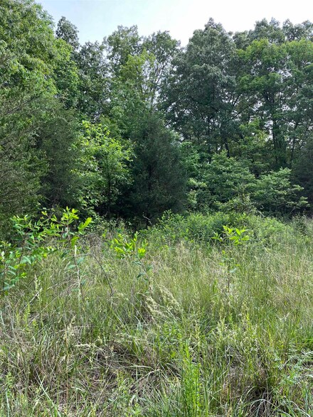 TBD President Dr, Horseshoe Bend, AR 72512