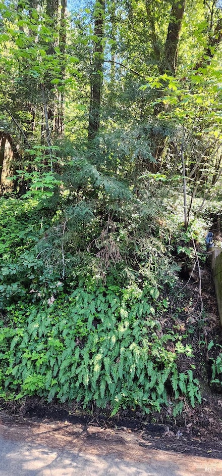 15203 Drake Rd, Guerneville, CA 95446