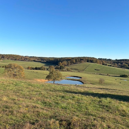 Hc 73 County Road 245, Drury, MO 65638