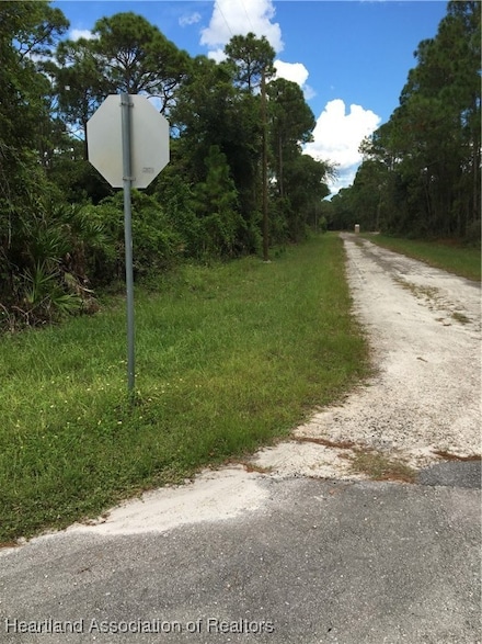 3247 Forrest View Ave, Lake Placid, FL 33852