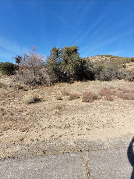 0 Vac Walkatop Rd Vic Littleboy Dr Unit HD24000385, Lake Elizabeth, CA 93532