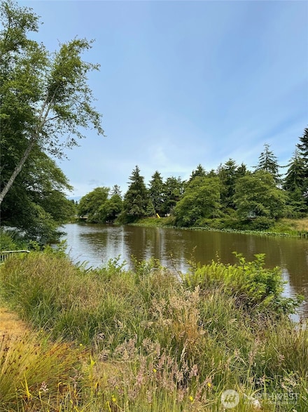 430 Dolphin Ave NE, Ocean Shores, WA 98569