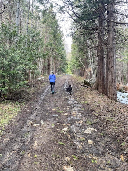 0 Red Fir Loop, Weed, CA 96094
