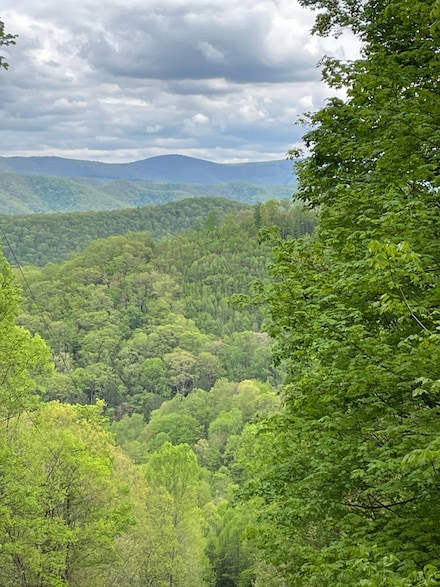 Rt 41 Mill St, Mill Creek, WV 26280