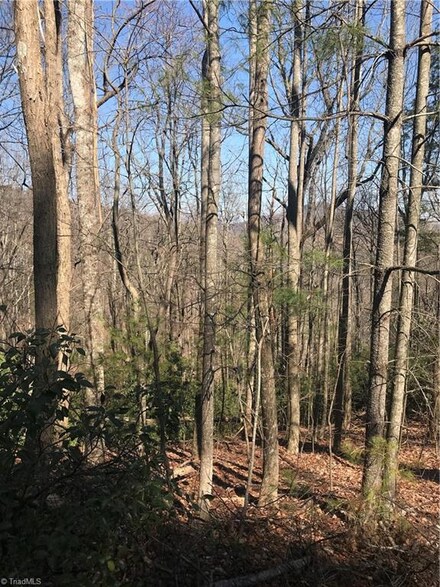 tbd N Nc Highway 16, Millers Creek, NC 28651