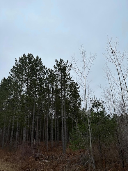 ON Swamp Lake Rd Unit 4069-10, Tomahawk, WI 54487