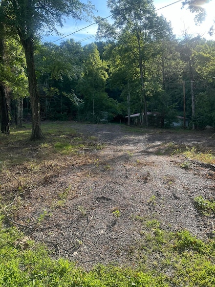 00 Cabin Hollow Rd, Eagle Rock, VA 24085