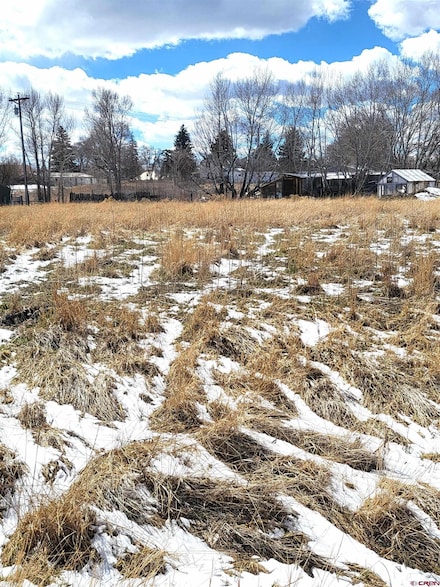 1130 Forest St, Norwood, CO 81423