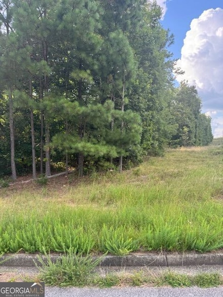 4020 Gold Springs Pass Unit 38, Villa Rica, GA 30180