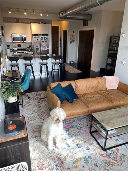 154 W 2nd St Unit 404, Boston, MA 02127