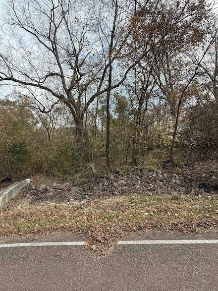 0 Tichenor St, Ripley, TN 38063