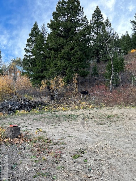5166 Mountain Dr, Island Park, ID 83429
