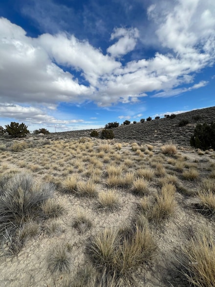 N/A Grant Ave, Spring Creek, NV 89815