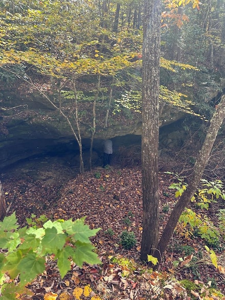 Lot 91 Buckeye Ln, Wilder, TN 38589