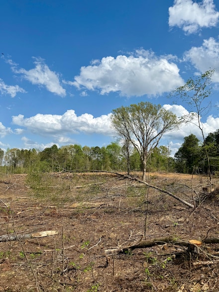 0 Hohenlinden Rd, Mantee, MS 39751