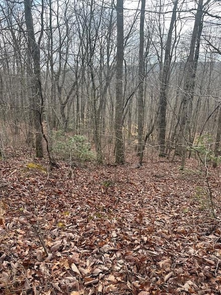 lot 38 Pioneer Trail, Crawford, TN 38554