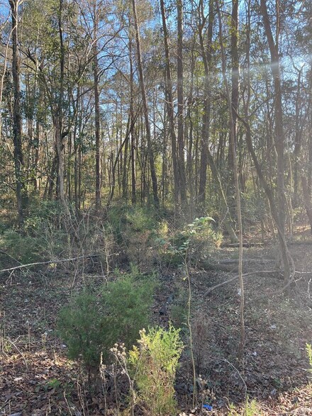 0 Chewalla Cir, Eufaula, AL 36027