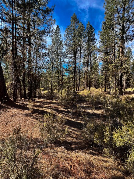 0 Solomon Unit 10 220191316, Chiloquin, OR 97624