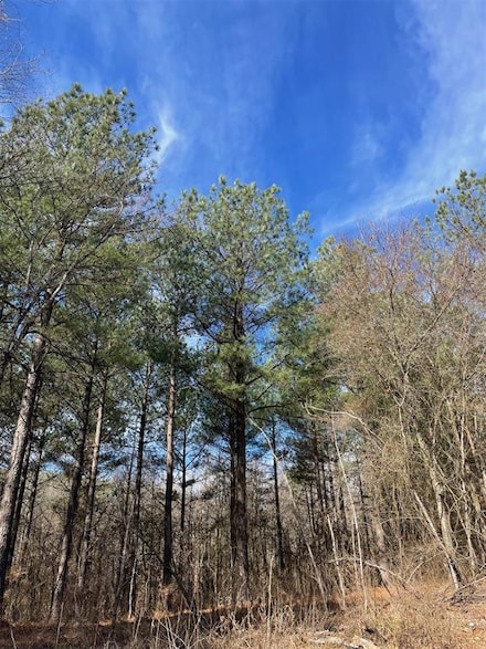763 Timber Creek Trails South Xl, Broken Bow, OK 74728